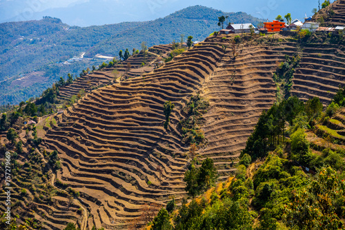 Intricate Terraces and Rural Hillside Living en route from Kutumsang to Chisopani, Nepal photo