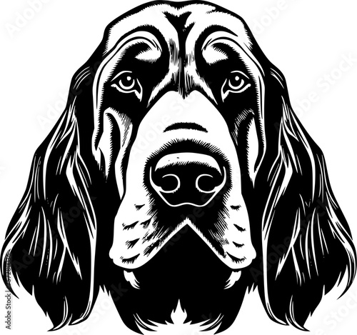 Bloodhound | Black and White Vector illustration