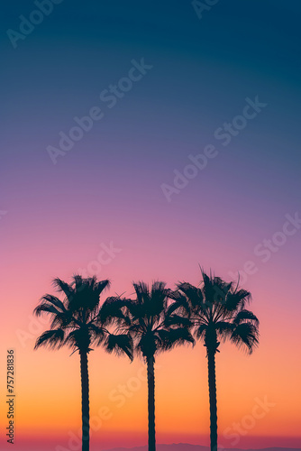 Tropical Sunset Silhouettes  Palm Trees Against Colorful Sky