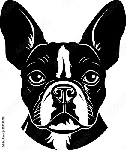 Boston Terrier - Minimalist and Flat Logo - Vector illustration