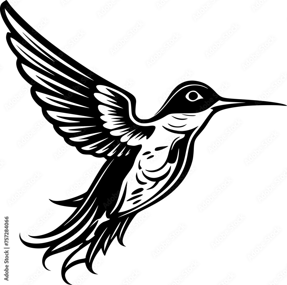 Obraz premium Hummingbird | Black and White Vector illustration