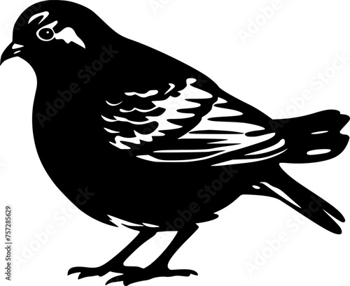 Pigeon - High Quality Vector Logo - Vector illustration ideal for T-shirt graphic