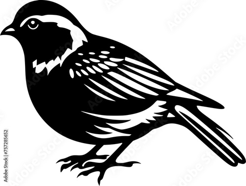 Pigeon - Black and White Isolated Icon - Vector illustration