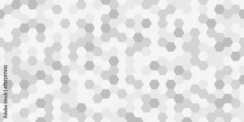 Hexagonal mosaic background, gray and white color annotation, abstract geometric background. Vector illustration.