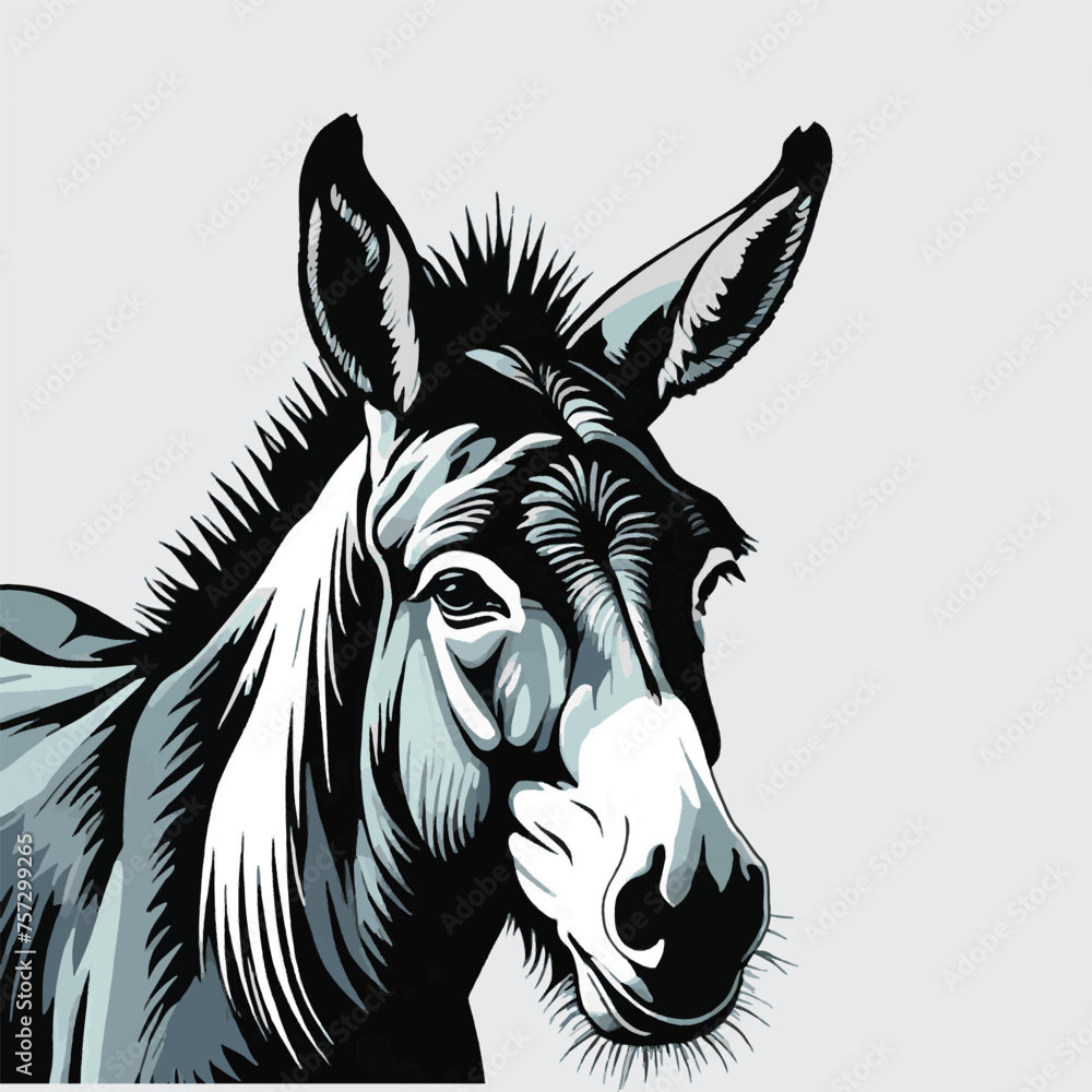clip art, vector isolated of donkey head