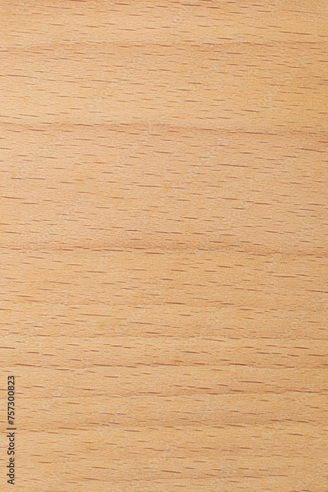 close-up of beechwood surface, pale cream color fine, even grain and smooth texture background or backdrop, furniture, flooring or decorative veneers, vertical orientation with copy space close-up of beechwood surface, pale cream color fine, even grain and smooth texture background or backdrop, furniture, flooring or decorative veneers, vertical orientation with copy space