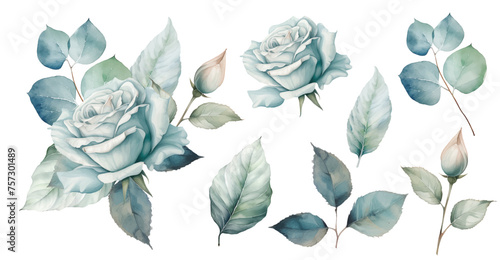Set watercolor blue roses floral roses bouquet. Wedding concept a white background