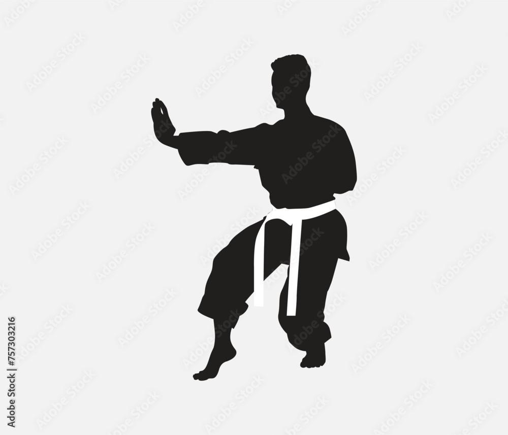 vector hand drawn karate or martial arts silhouette set vector hand drawn karate or martial arts silhouette set