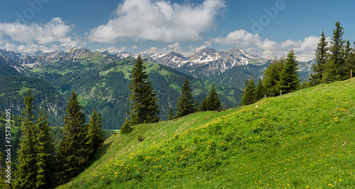 Allgäuer Alpen vom Füssener Jöchl, Tannheimer Tal, Tirol, Österreich © Rainer Mirau