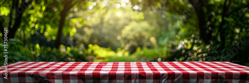 A bright, sunny ambiance highlights a red and white gingham tablecloth ready for a picnic © smth.design