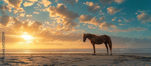 portrait of a horse on the beach © zaen_studio