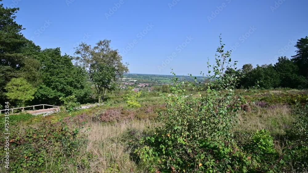 Lickey hills country park west midlands england uk Lickey hills country park west midlands england uk