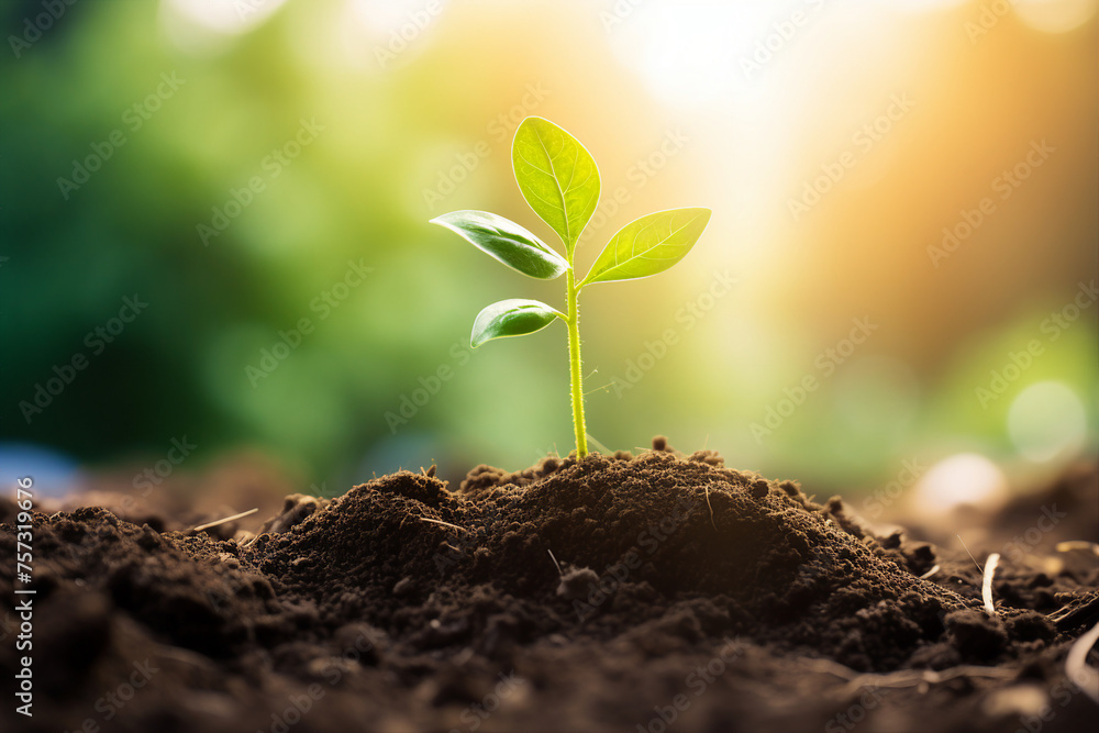 Nature protection conceptual Generative AI illustration Earth day ecology safe planet nature environment Nature protection conceptual Generative AI illustration Earth day ecology safe planet nature environment