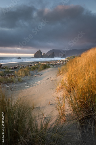 A beach with a rocky shoreline and a cloudy sky