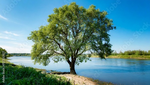 Psalm 1. Blessed be the man. He shall be like a Tree planted by the Rivers of Water. © Daniel