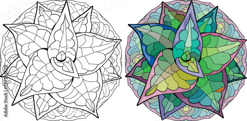Succulent houseplant on mandala. Print shape home plant urban tropical jungle decor. Color and outline set