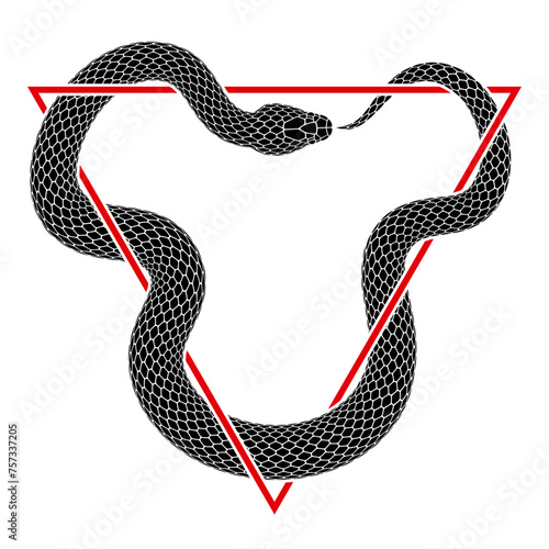 Vector tattoo design of snake bites its tail intertwining with an inverted delta sign. Isolated black silhouette of triangular ouroboros symbol. photo
