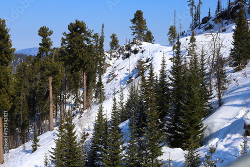  Views of the ski resort Teletski. Ski resort is located near Lake Teletskoye. 