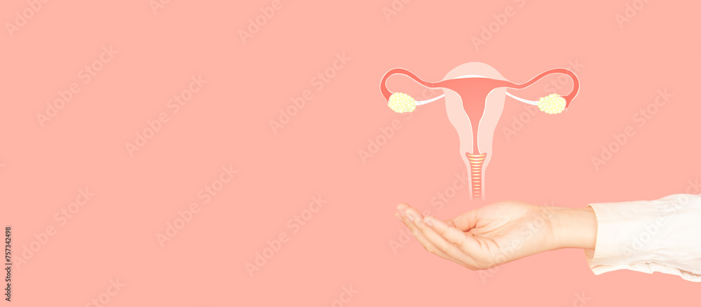 Uterus and ovaries anatomy on doctor hand over pink backgroud. Awareness of women health care such as endometriosis, PCOS, STDs, ovarian, cervical cancer screening. Gynecology and reproductive system. - obrazy, fototapety, plakaty 