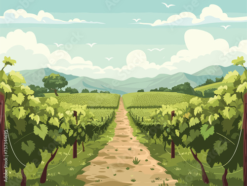 Dirt road cutting through vineyard with mountains in the background