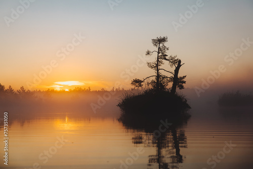 Beautiful sunset in swamp lake