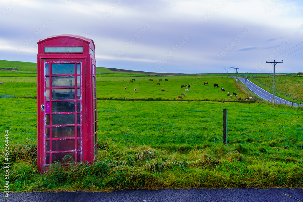 Fototapeta premium Red phone box, in landscape of fields, Orkney Islands