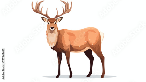 A brown deer on white background flat vector isolate