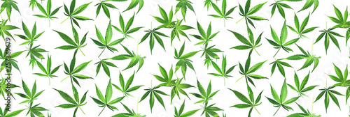 seamless pattern with green cannabis marijuana leaf on white background for decoration
