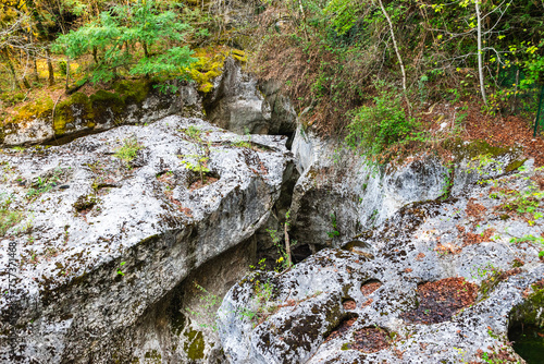 Ravine in Gorges du Fier photo