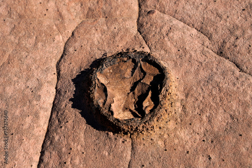 Close up of broken moki marbles in the desert of South West Utah photo