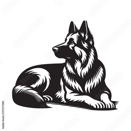 Relaxed German Shepherd Lying Down Vector - Looking Upward in Black and White