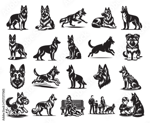 German Shepherd Vector Bundle - A set of German Shepherd Dog Vector 