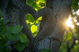 Silhouette of a heart in the foliage of trees poplar. Two beautiful textured tree trunks with green juicy leaves in the rays of sunlight.