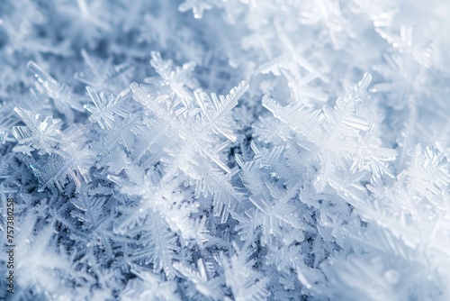 A patch of ice crystals forming intricate patterns