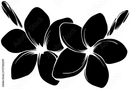 massage illustration frangipani silhouette leaf logo vitality icon treatment outline therapy therapeutic serene purity plant petal perfume oriental nature shape serene purity for vector graphic