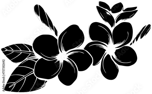 massage illustration frangipani silhouette leaf logo vitality icon treatment outline therapy therapeutic serene purity plant petal perfume oriental nature shape serene purity for vector graphic