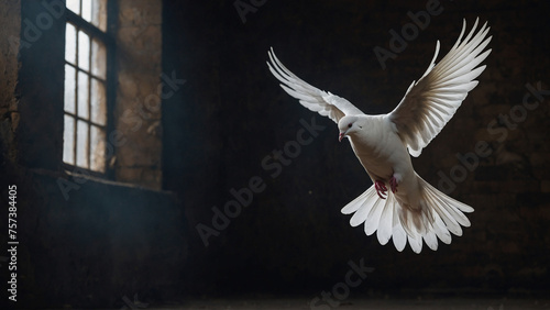 White Pigeon Flying in Front of Window