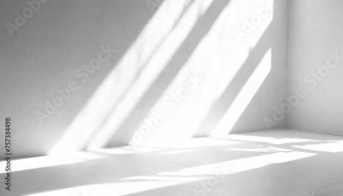 Realistic and minimalist blurred natural light windows, shadow overlay on wall paper texture, abstract background. Minimal abstract light white background for product presentation. © netsay