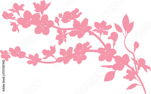 Wallpaper Mural Sakura branch with flowers decoration. Torontodigital.ca