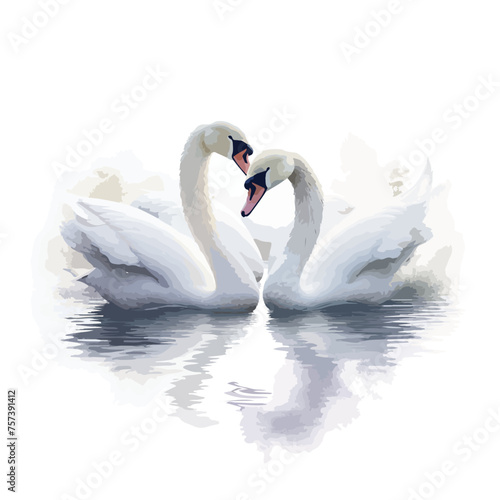 Fototapeta Naklejka Na Ścianę i Meble -  A pair of graceful swans swimming together in a misty