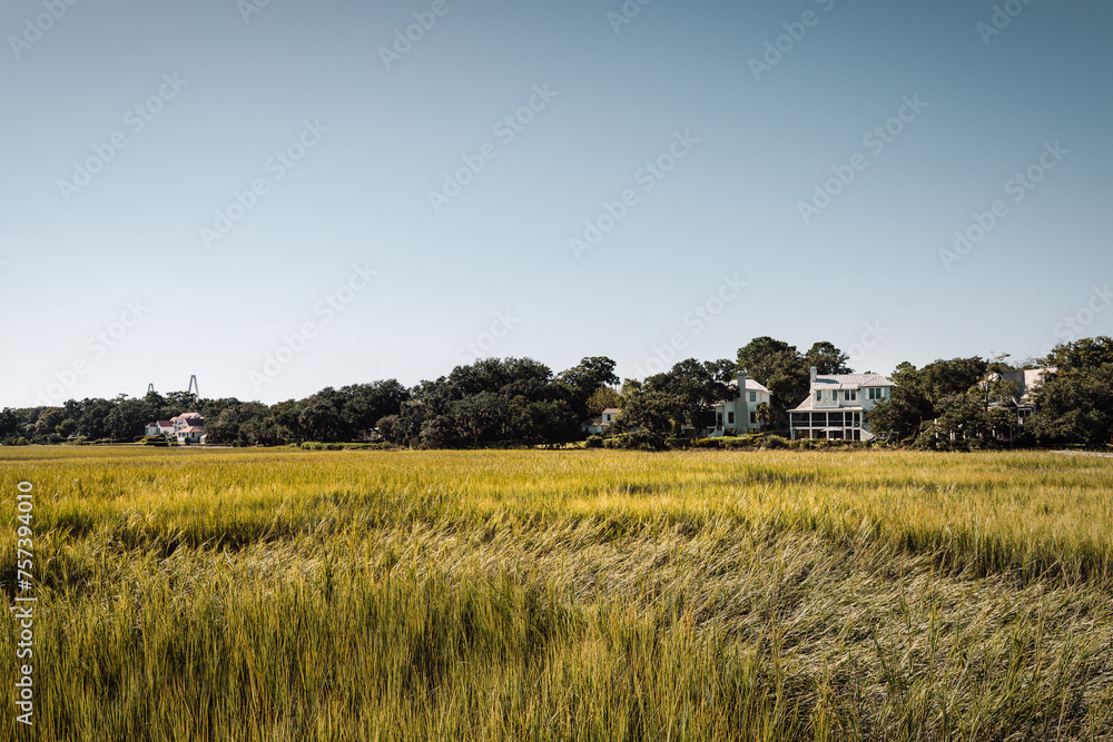 Fototapeta premium Reeds on Shem Creek near Charleston, South Carolina