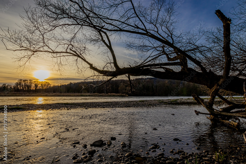 Abendstimmung am Fluss - Sonnenuntergang mit Baum im Vordergrund Abendstimmung am Fluss - Sonnenuntergang mit Baum im Vordergrund