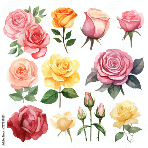 Assorted Roses Watercolou Clipart isolated on white background