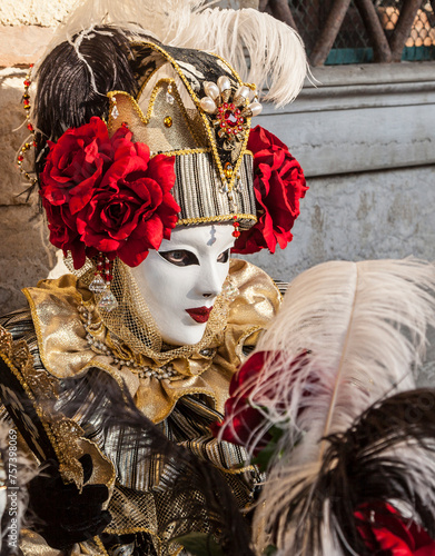 Venetian Mask, Venice Carnival