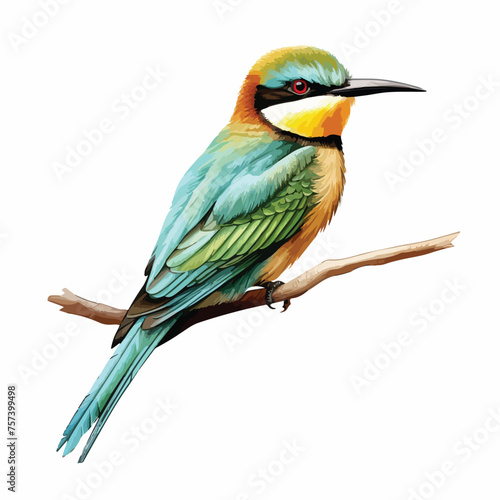 Beeeater Clipart isolated on white background