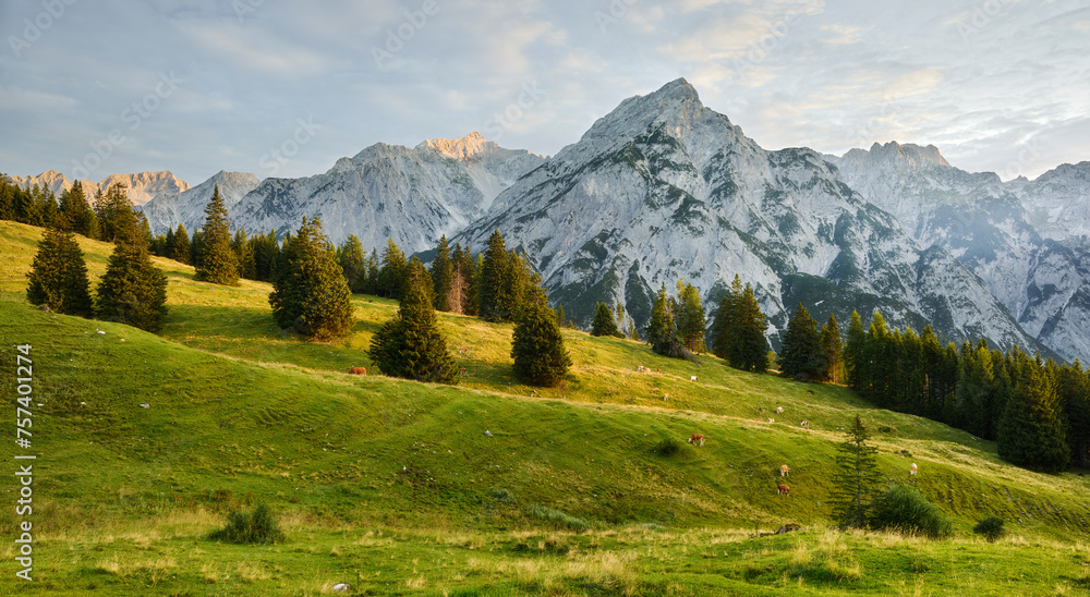 Huderbankspitze, Walderalm, Gnadenwald, Karwendel, Tirol, Österreich
