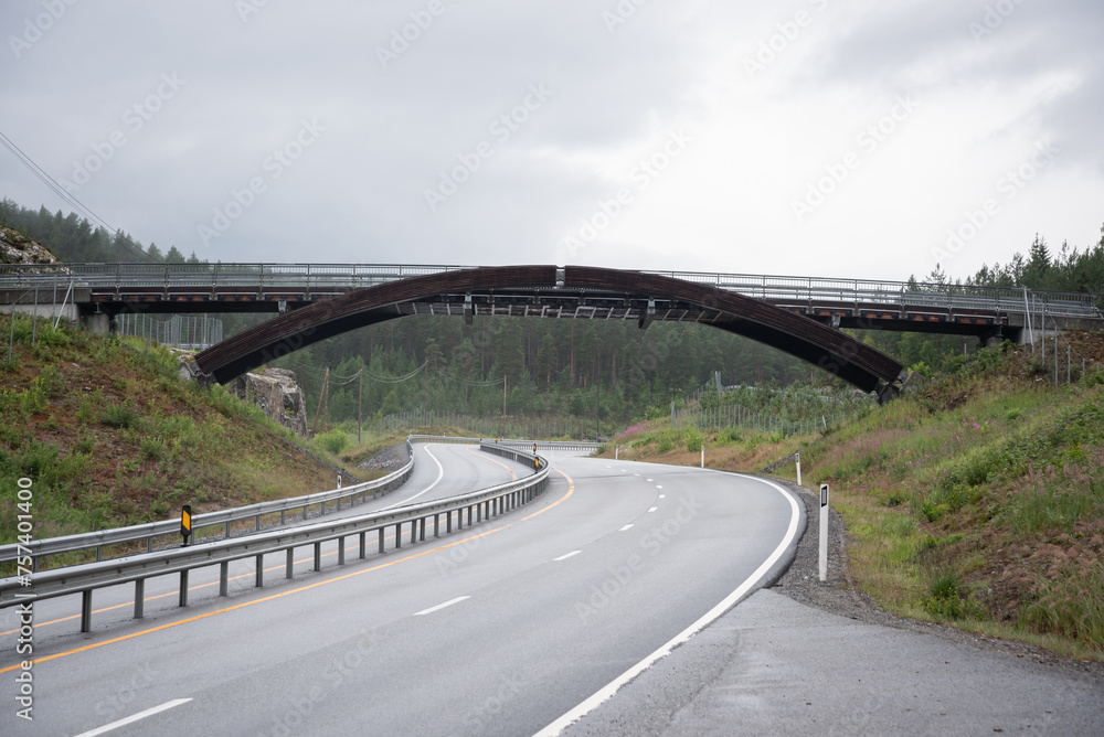 Norwegian highway road over which a bridge is built for animals.