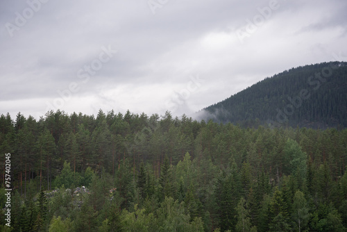 Norwegian mountain landscape with fog on a wet rainy autumn day.