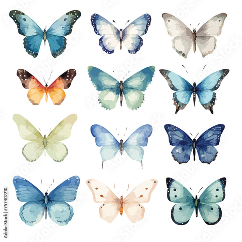 Butterfly Clipart Art Watercolour Clipart isolated on white