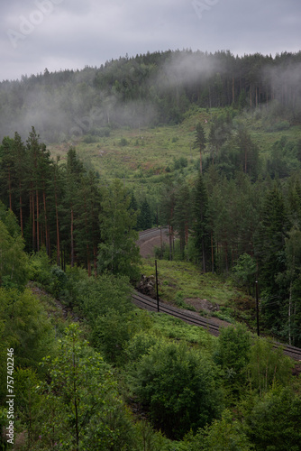 Norwegian mountain landscape with green trees and white fog with train tracks running through it.